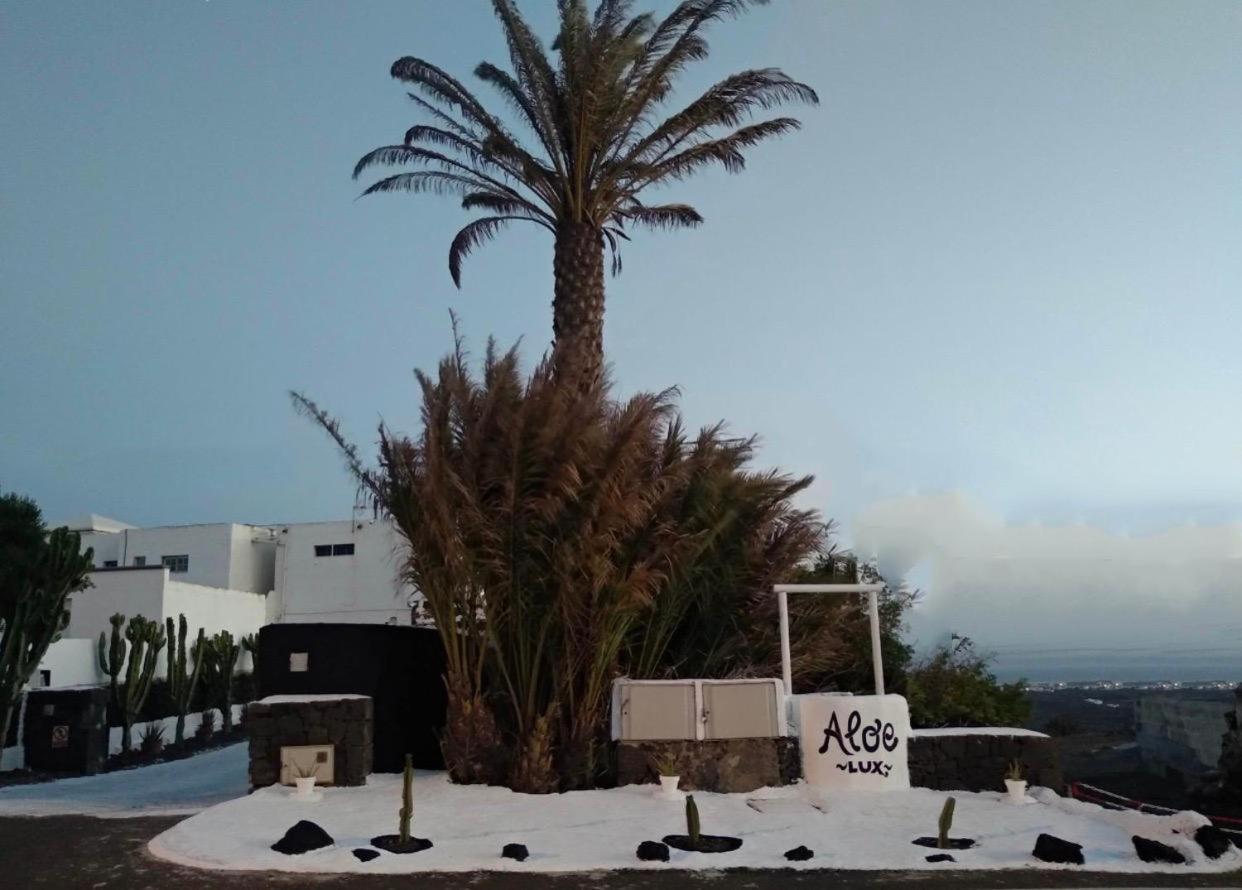 Aloelux Villa ! - Private Villa With Jacuzzi, Cinema ,Massage ,Wonderful View, Art Desing Villa Conil Luaran gambar
